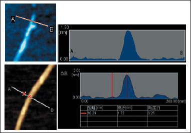 Fig.2 SWNT Observations and Diameter Measurement by SPM