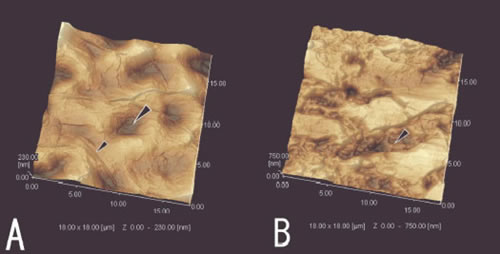 Fig.1 A: Prior to stretch B: 3D topography of 200% stretched surface