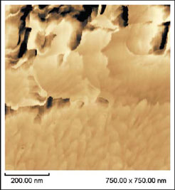 Fig.4 Boundary observation between