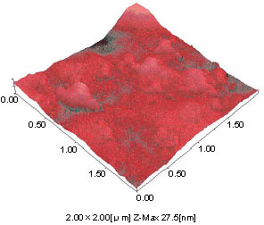 Fig.4 Printed Part of Red Ink