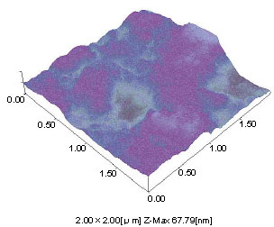 Fig.5 Printed Part of Blue Ink