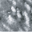 Fig.4  (□185.6nm) Co surface during CO blowing