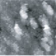 Fig.6 (□185.6nm) Co surface during CO blowing