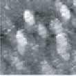 Fig.7 (□185.6nm) Co surface after CO blowing