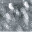 Fig.8 (□185.6nm) Co surface after CO blowing