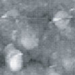 Fig.14(□185.6nm) Ni surface after CO blowing