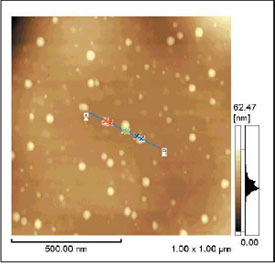 Fig.3 Topographic image