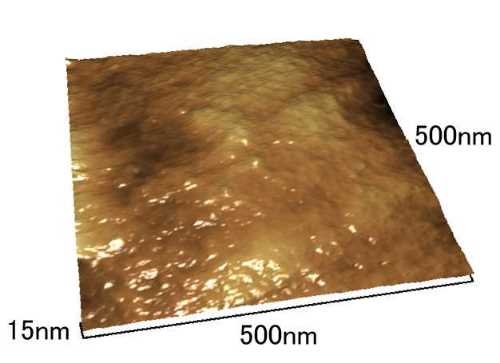 Observation of Temperature Responsiveness of Cell Cultureware