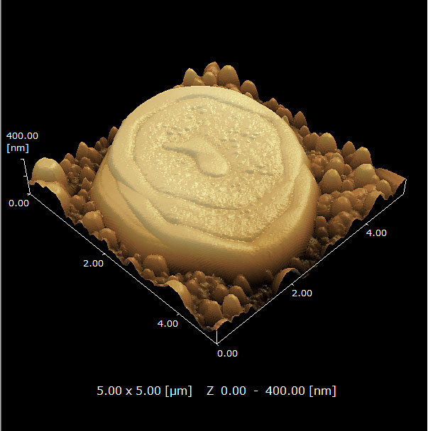 Observation of the surface topography of film formed by two different water-based resins