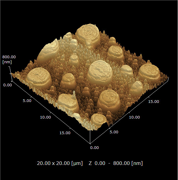 Observation of the surface topography of film formed by two different water-based resins