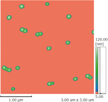 Silica Nanoparticles