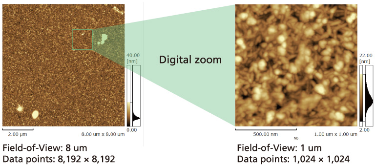 Observation of Vapor-Deposited Metal Coating