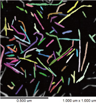 Fiber Isolation