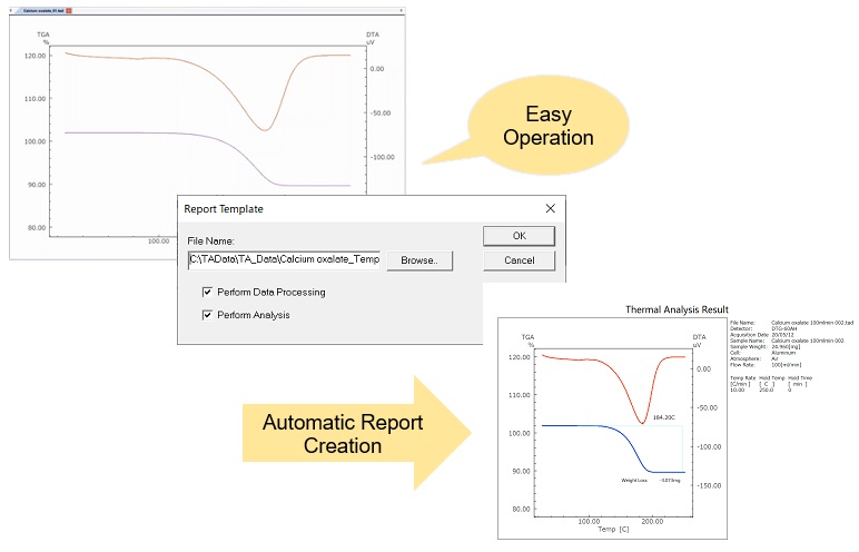 Automatic Manipulation and Automatic Analysis Functions (Template Function)