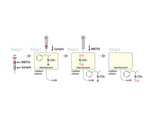 195 - On-Column Derivatization GC...