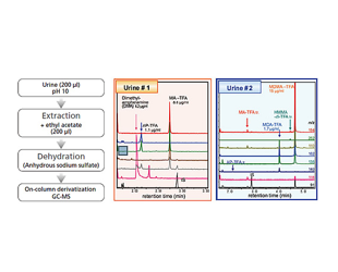 195 - On-Column Derivatization GC...