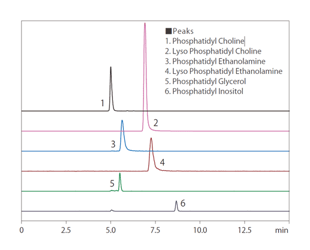 49-25 - SFC Columns