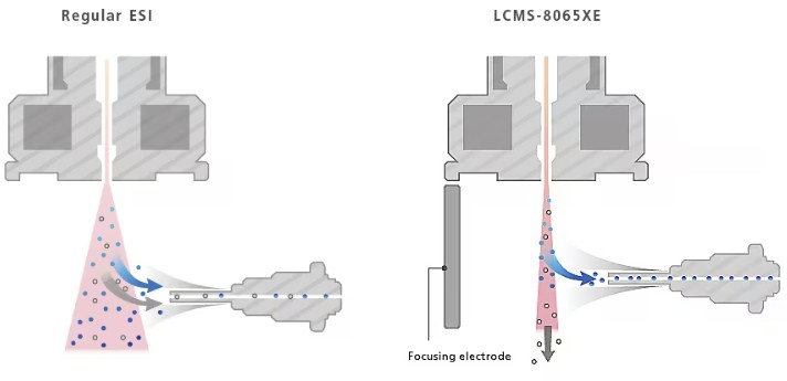 LCMS-8065XE Features